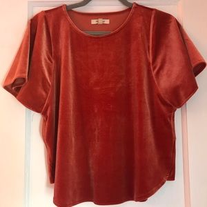 Velvet Top